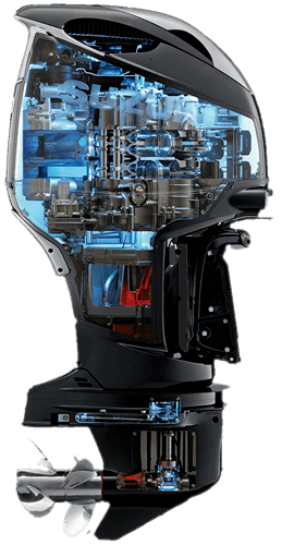 img-tec