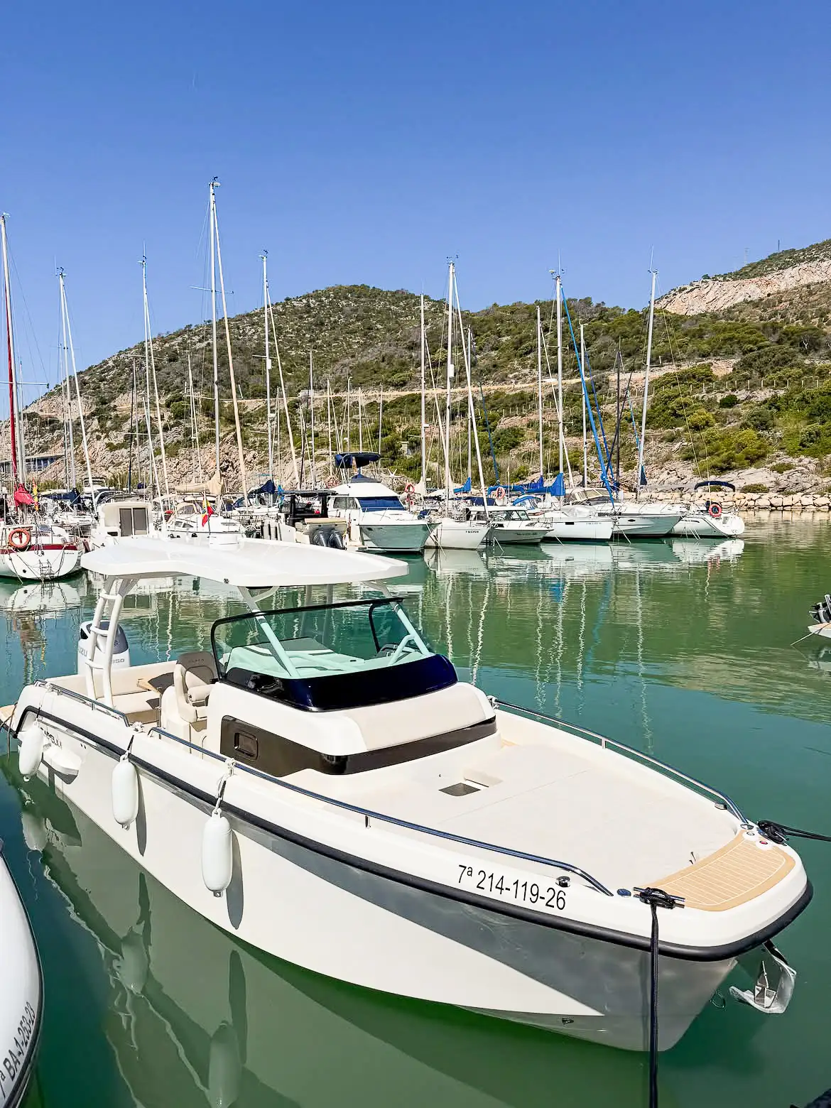 Capelli Alma 27 - Imagen 9